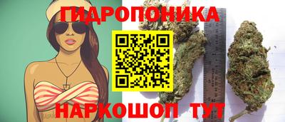 гашишное масло Будённовск