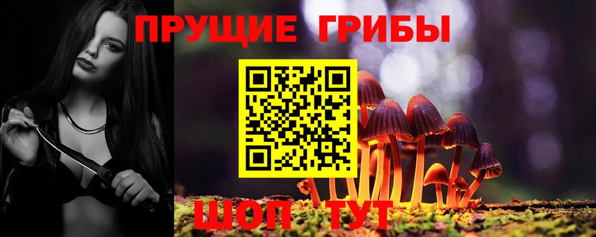 Псилоцибиновые грибы Psilocybine cubensis Кулебаки